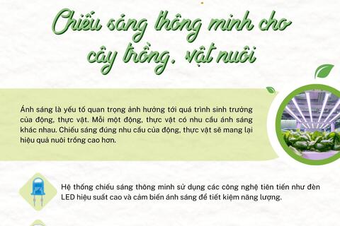 Nông nghiệp số: Chiếu sáng trong cây trồng và vật nuôi
